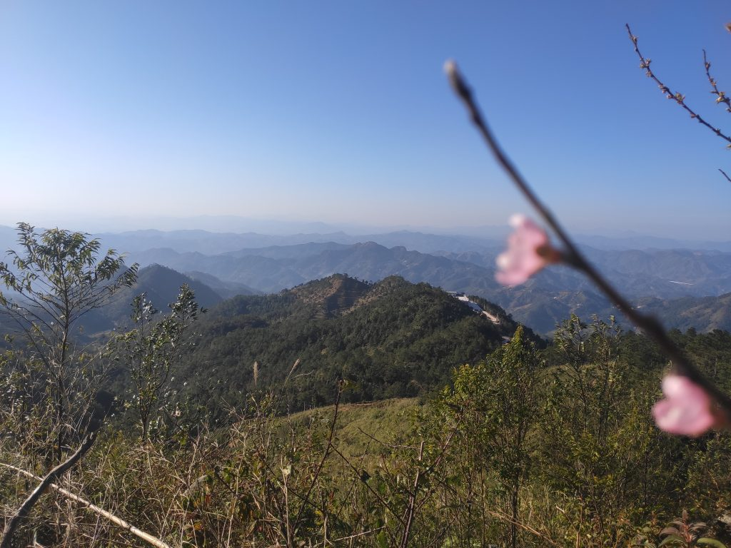 高州沿江休闲绿道（鉴江印象）-高凉南北