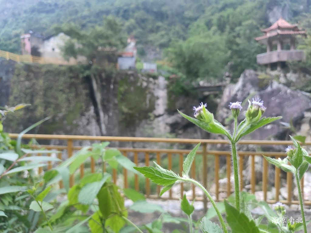 图片[12]-信宜平塘石印风景区-平塘石印百年古庙-高凉南北