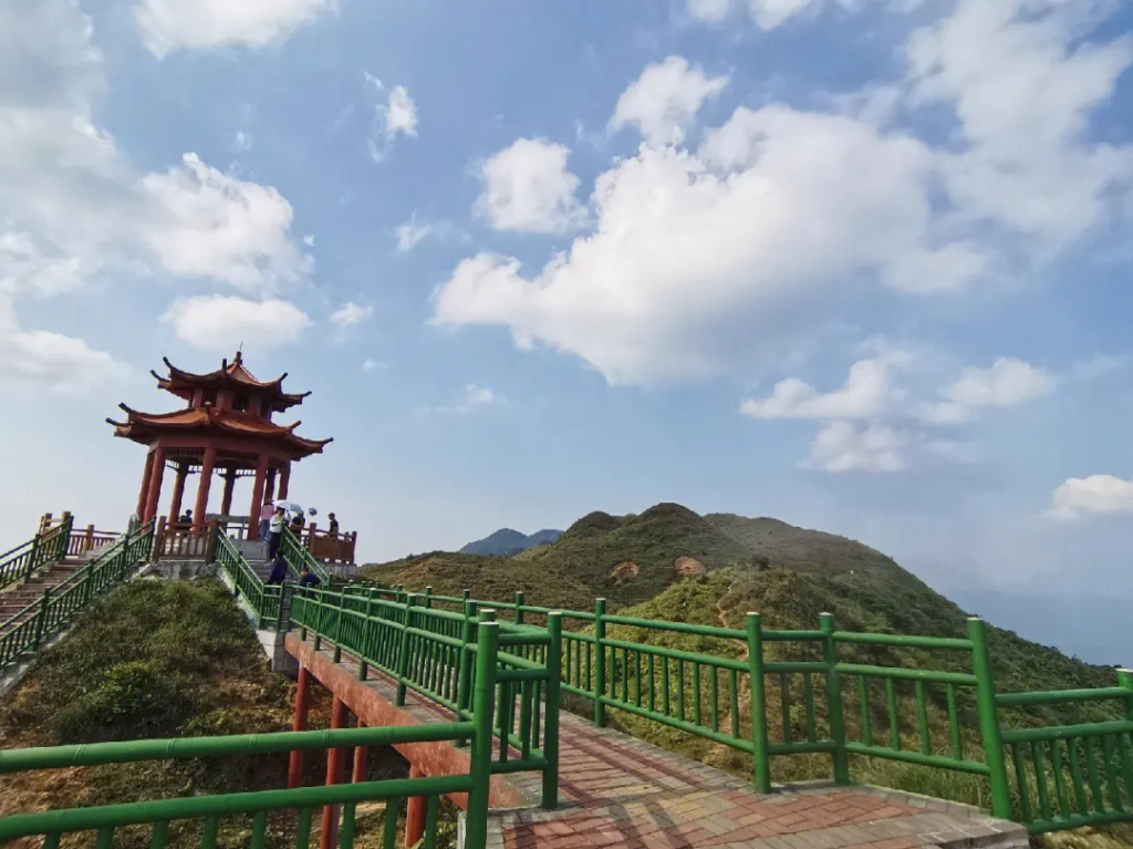 图片[2]-信宜马安山竹海-马安山竹林海景区-高凉南北