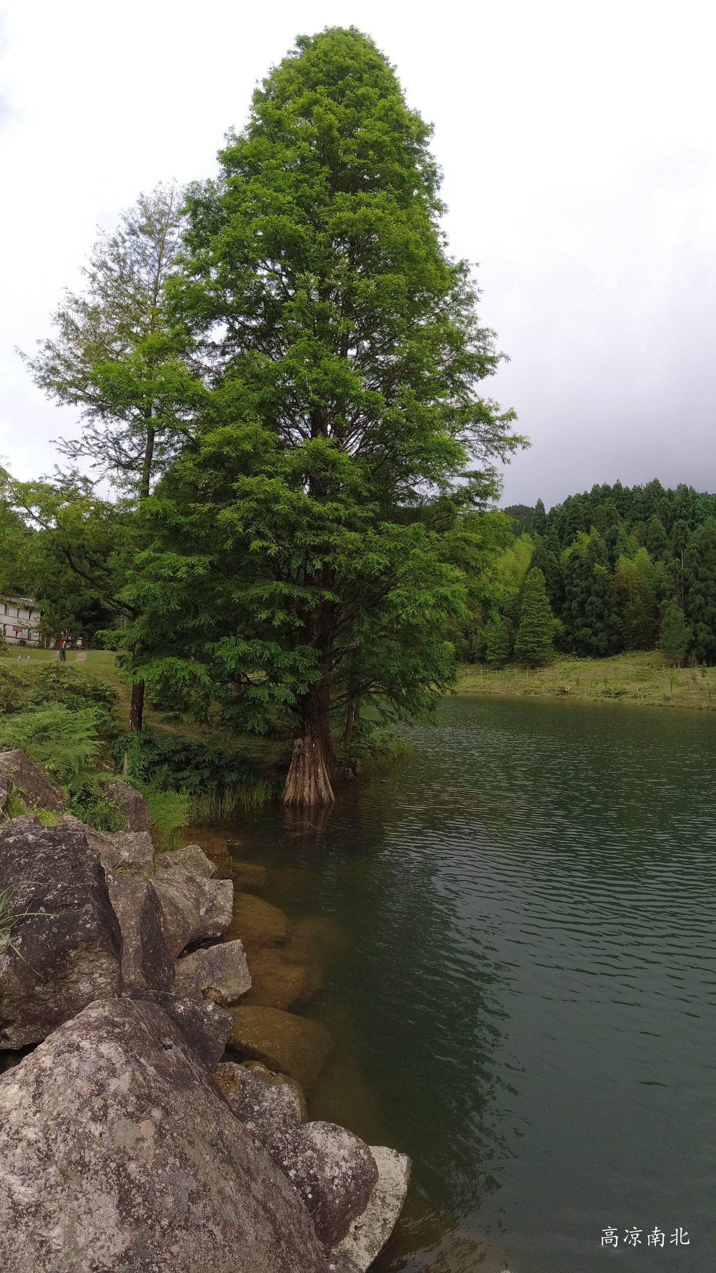 图片[3]-亚公髻鹿湖顶-鹿湖顶自然保护区-高凉南北