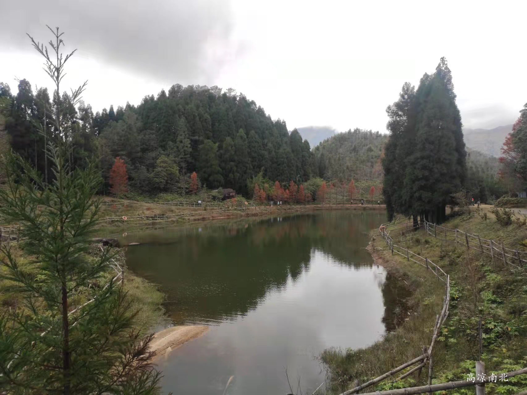 图片[5]-亚公髻鹿湖顶-鹿湖顶自然保护区-高凉南北