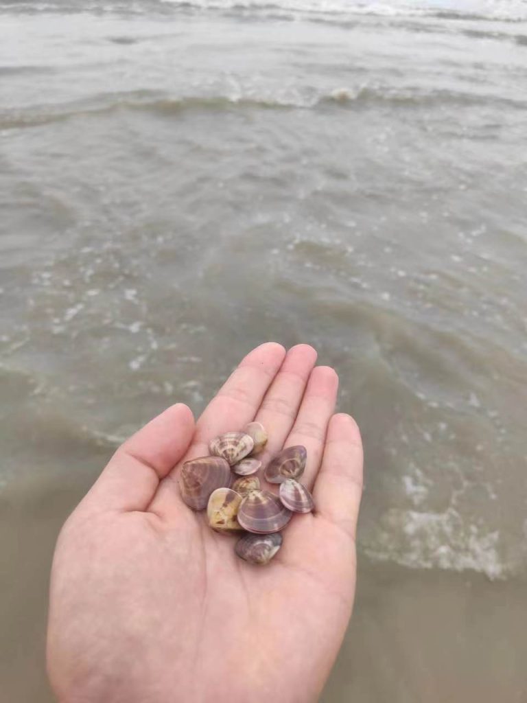 图片[5]-台风过后的童子湾拍岸浪-高凉南北